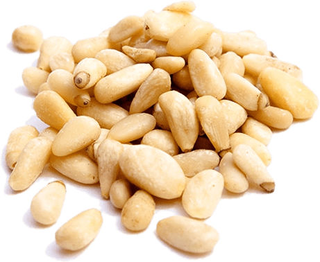 Pignon de pin حبوب الصنوبر